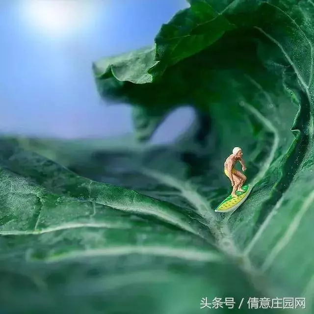 我見過最天馬行空的創意,不敵他拍下的雞毛蒜皮