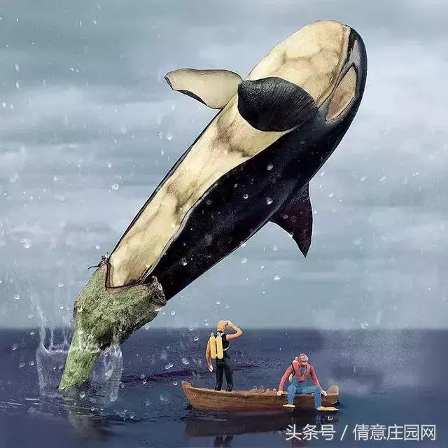 我見過最天馬行空的創意,不敵他拍下的雞毛蒜皮