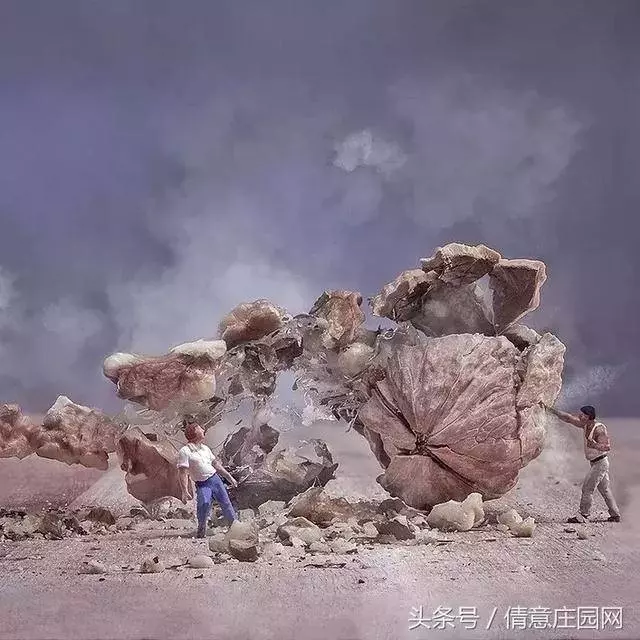 我見過最天馬行空的創意,不敵他拍下的雞毛蒜皮