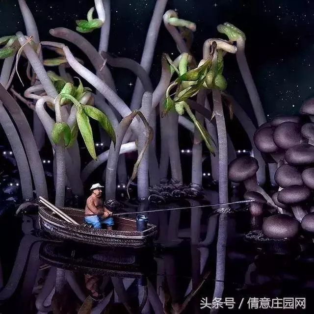 我見過最天馬行空的創意,不敵他拍下的雞毛蒜皮