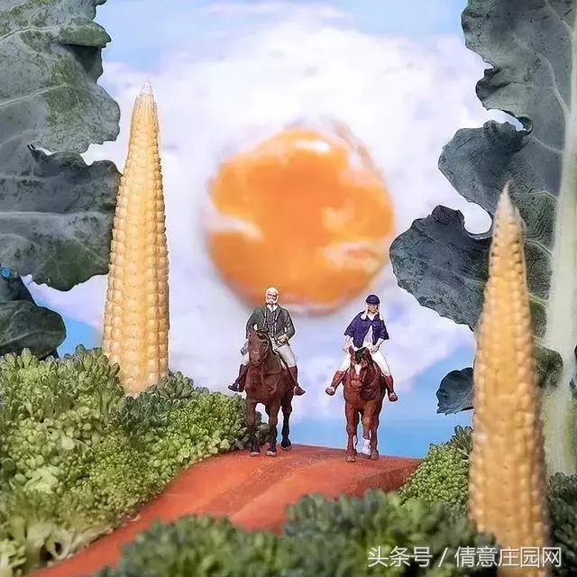 我見過最天馬行空的創意,不敵他拍下的雞毛蒜皮