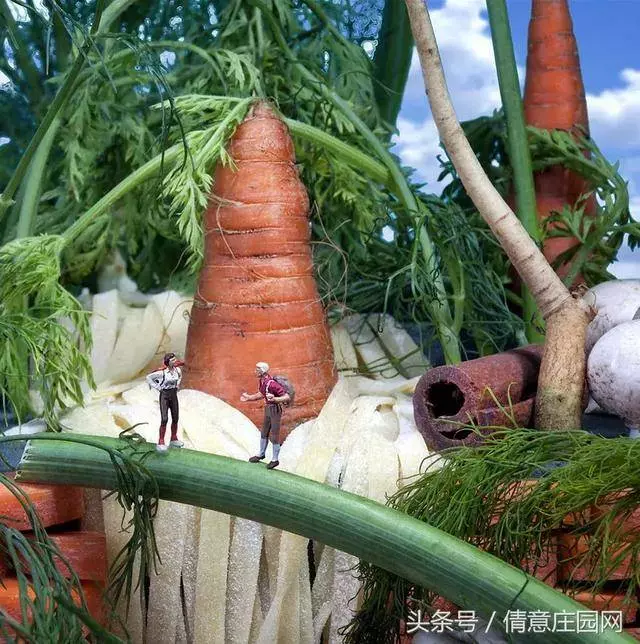 我見過最天馬行空的創意,不敵他拍下的雞毛蒜皮