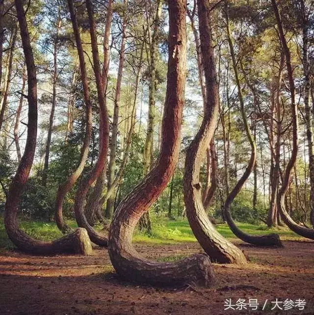 這28張圖絕非超現實,都是在真實世界中存在的