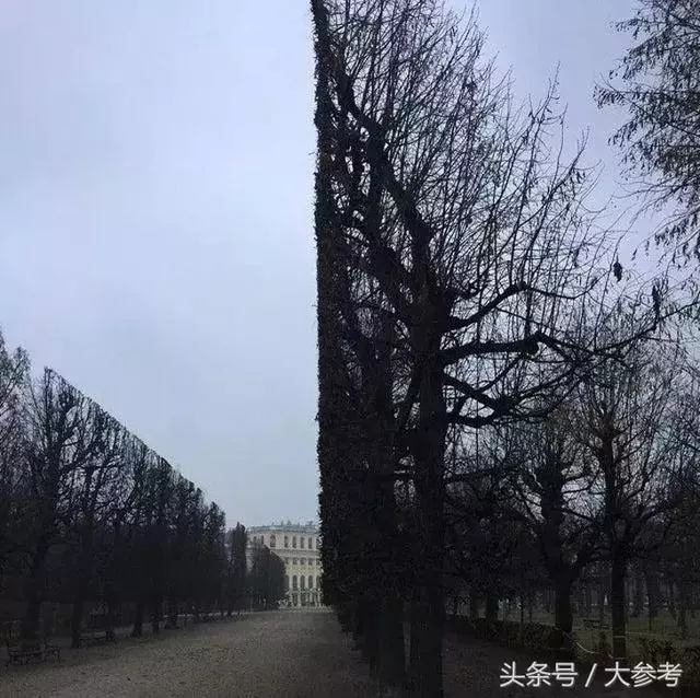 這28張圖絕非超現實,都是在真實世界中存在的