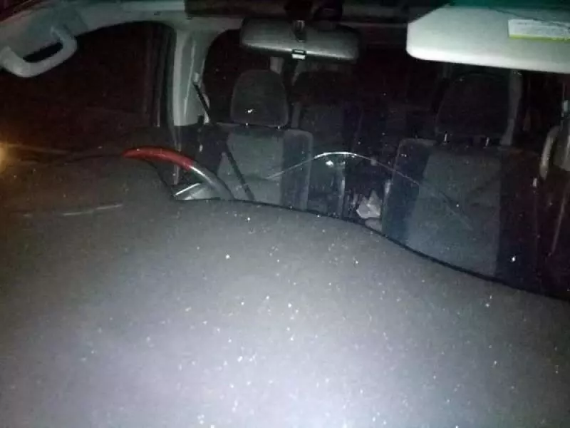 司機車禍遇路霸 旺姐座駕遭破壞