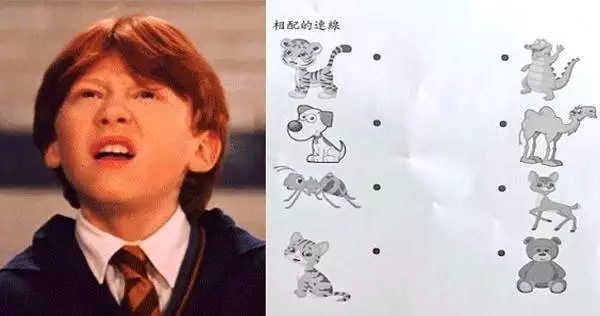 老師又整學生網路瘋傳小學生考題「超爆難連連看」家長一頭霧水