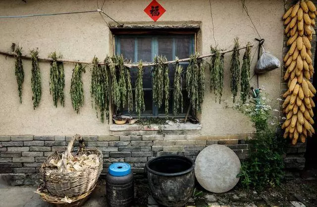 六歲男孩被單親父親送人,十八年後獨自找回老家,推開家門愣了