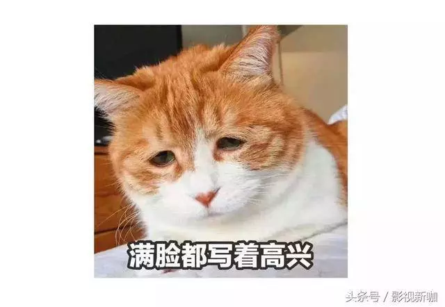 52歲劉嘉玲撞衫30歲劉亦菲!兩人明明相差22歲,沒想到劉亦菲居然直接被秒成渣!網友:神仙姐姐仙氣盡失了!