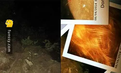 13張會讓你體驗到絕望感的「超驚悚真實照片」 - 我聽你在靠背~~~ | FUN01 創作分享