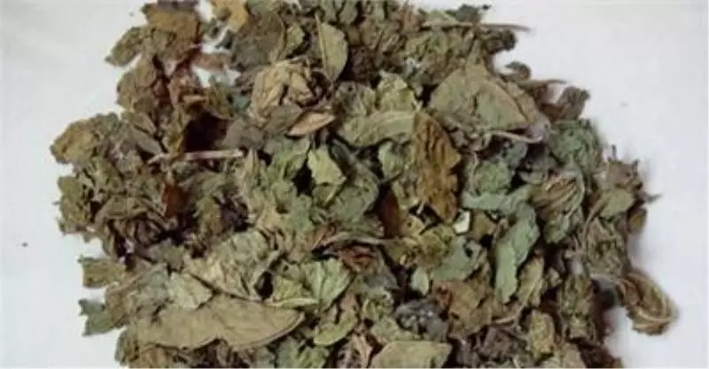 堅持食用可改變頭髪稀疏的問題,容易讓白髪變黑髪