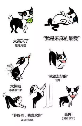 狗狗是如何表達喜怒哀樂的?