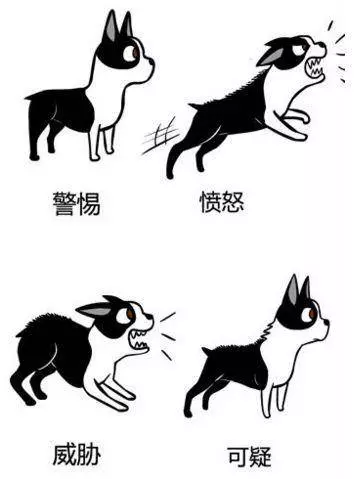 狗狗是如何表達喜怒哀樂的?