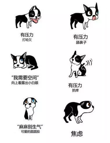 狗狗是如何表達喜怒哀樂的?