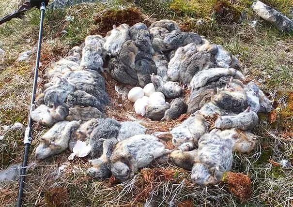 18張證明「大自然其實比魔鬼還要驚悚」的大自然驚奇照(驚悚慎入)