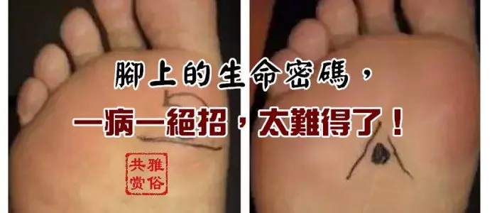 腳上的生命密碼,一病一絕招,太難得了!