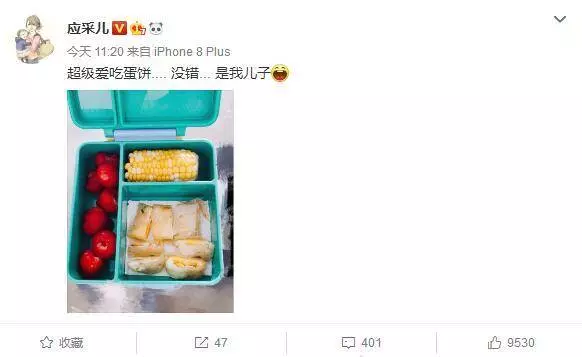 應采兒給jasper做自製愛心餐,曬圖引發吐槽:這是當女兒養嗎