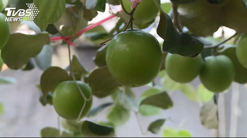 捐5百萬買農漁產 郭董打趣:給韓盤纏