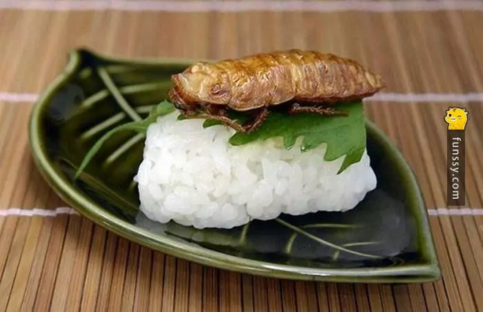 日本黑暗料理屆的「八大王者」