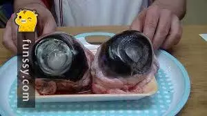 日本黑暗料理屆的「八大王者」