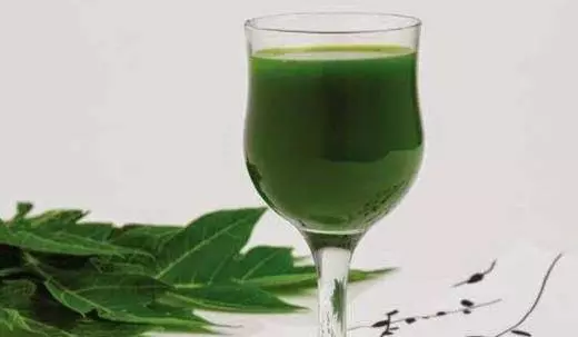 【木瓜葉】的神奇功效與作用