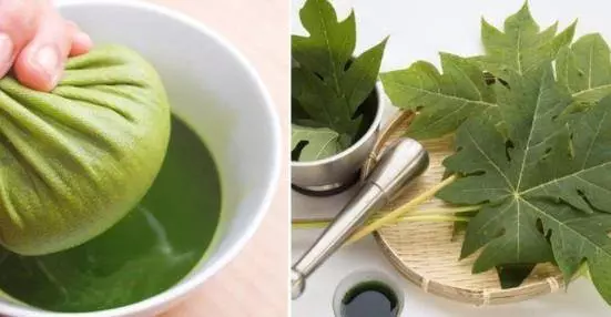 【木瓜葉】的神奇功效與作用