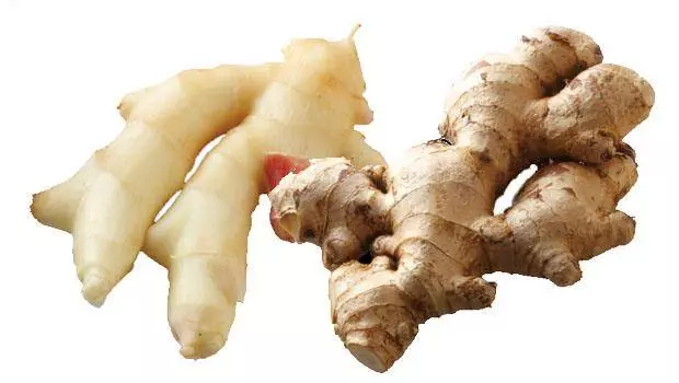 薑是體內最佳的除濕機!老薑、嫩薑效用大不同,你吃對了嗎?