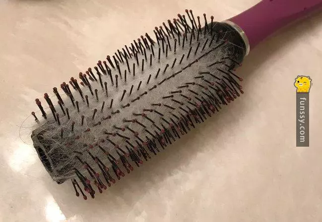 20張會讓人受不了的超奇葩照片
