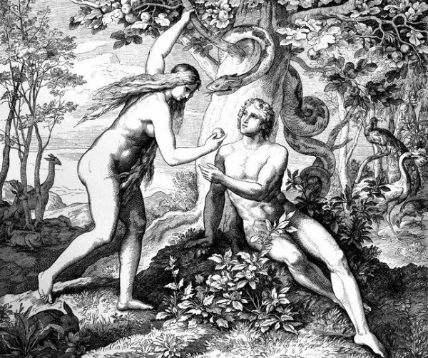 17個讓你驚覺「原來我被所有人騙了」超誇張迷思!