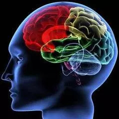 【哈佛大學智商研究】你對這題問題的答案是?一般人答對5題就很厲害了