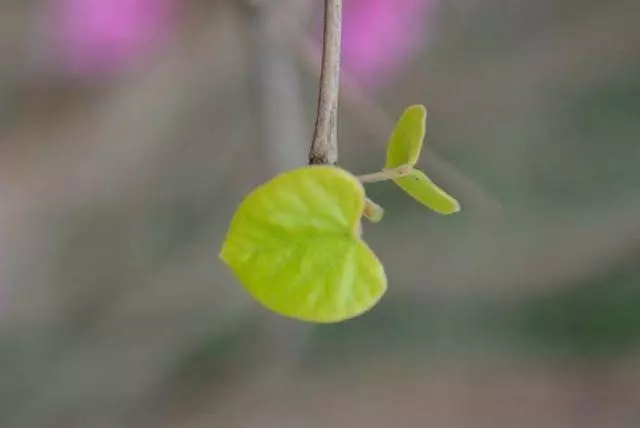 女兒出嫁我陪嫁一套房和30萬,不到半年,女婿把女兒行李收拾了並送了回來…