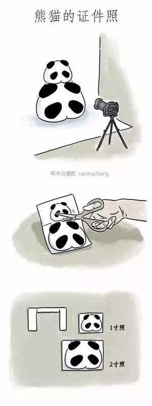 朋友圈裡尺度最大的漫畫,你看懂了幾張