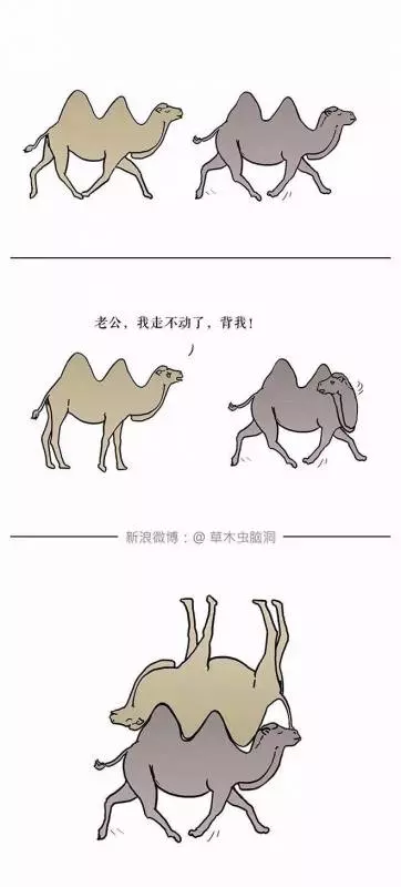朋友圈裡尺度最大的漫畫,你看懂了幾張
