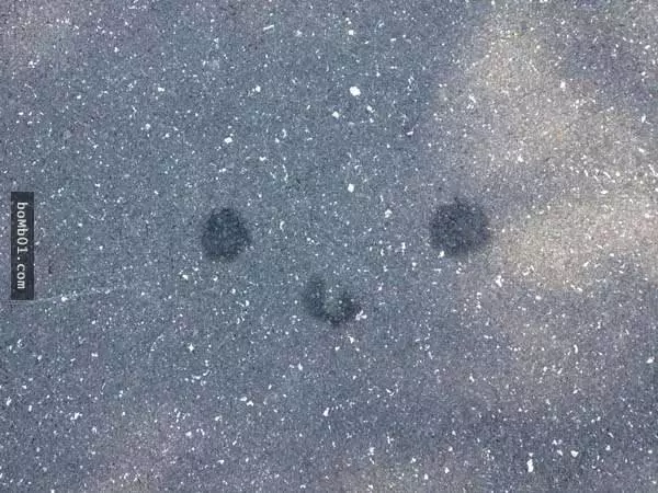 讓這23張照片來教你換個角度看東西的真理,這些在我們周遭的東西換個角度看竟然能如此爆笑