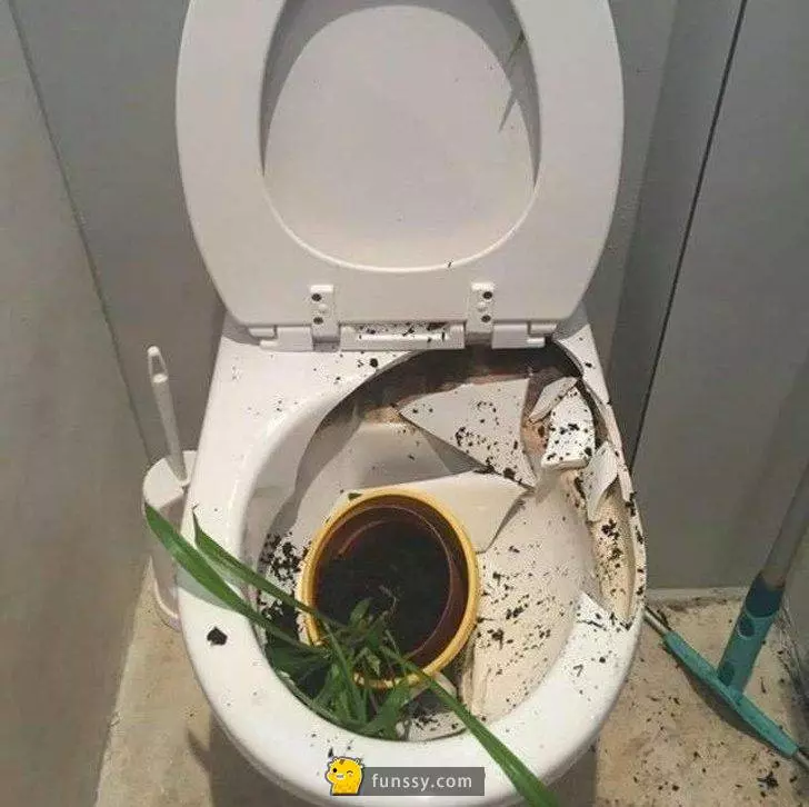 25個真的發生在這世界的「各種奇葩鳥事」