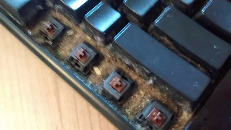神人每次在電腦前吃飯打手槍今天他總算打開「六年都沒打開清掃過的鍵盤」, 一打開的畫面