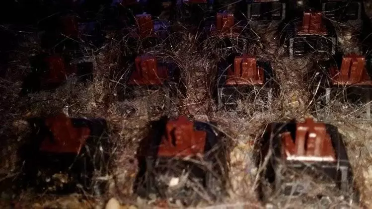 神人每次在電腦前吃飯打手槍今天他總算打開「六年都沒打開清掃過的鍵盤」, 一打開的畫面