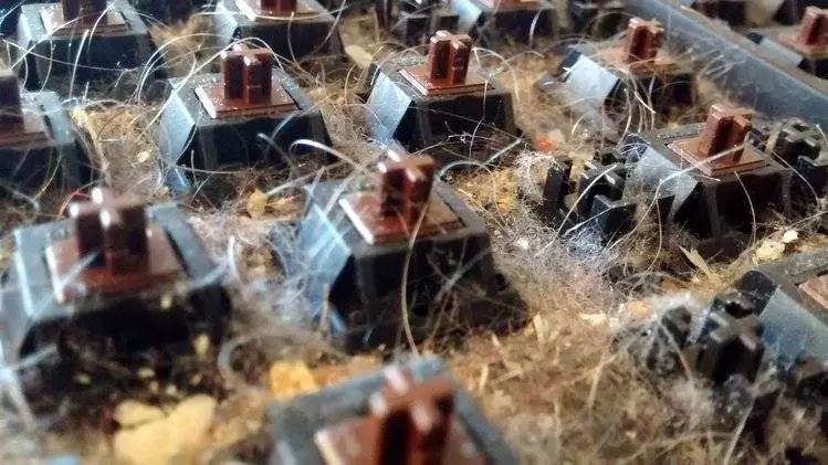 神人每次在電腦前吃飯打手槍今天他總算打開「六年都沒打開清掃過的鍵盤」, 一打開的畫面