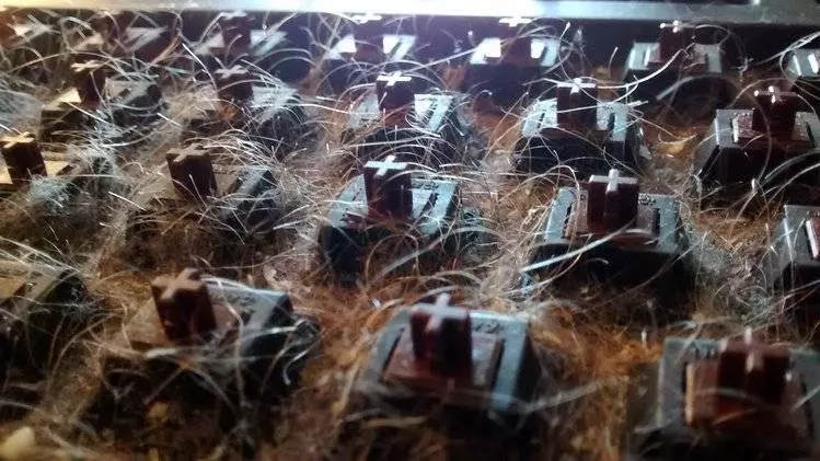 神人每次在電腦前吃飯打手槍今天他總算打開「六年都沒打開清掃過的鍵盤」, 一打開的畫面