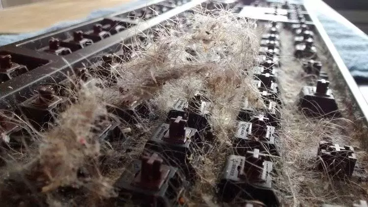 神人每次在電腦前吃飯打手槍今天他總算打開「六年都沒打開清掃過的鍵盤」, 一打開的畫面