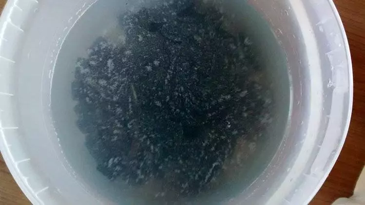 神人每次在電腦前吃飯打手槍今天他總算打開「六年都沒打開清掃過的鍵盤」, 一打開的畫面
