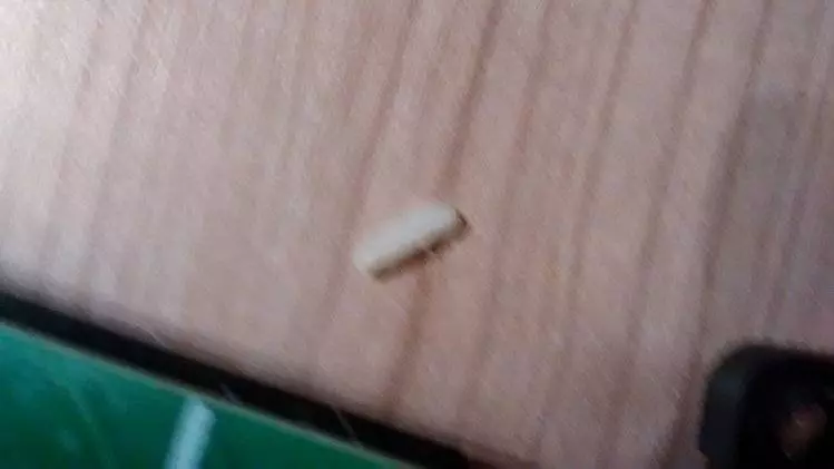 神人每次在電腦前吃飯打手槍今天他總算打開「六年都沒打開清掃過的鍵盤」, 一打開的畫面