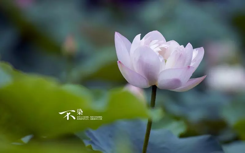 12月26、27號開始,鹹魚大翻身,撥開雲霧見青天,金銀堆滿屋的5大生肖!