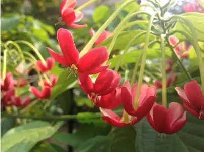 12月26號起,接住好運,財運直上雲霄,月月賺大錢的5大生肖!