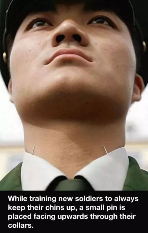 大腦充電時間,22個你所不知道的小知識