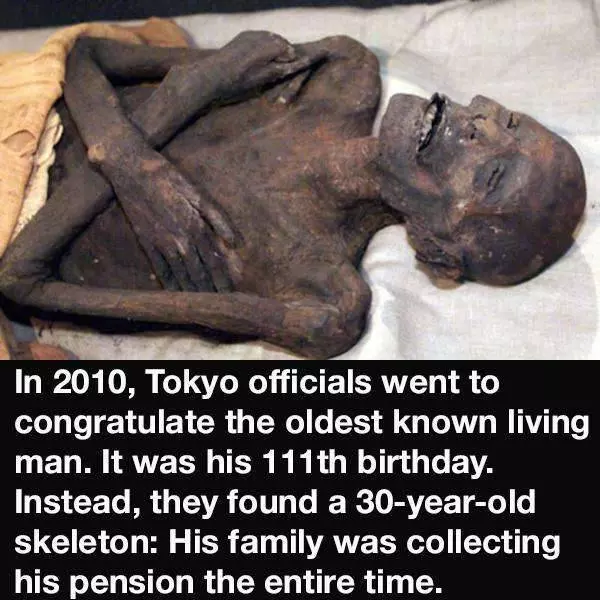 大腦充電時間,22個你所不知道的小知識