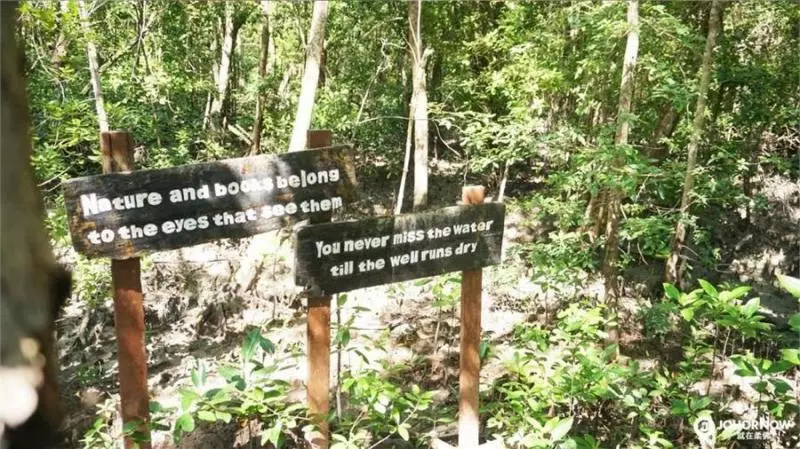 柔佛龜咯島:鹹水灣精緻木屋,4人套房只要RM260,還有早餐服務