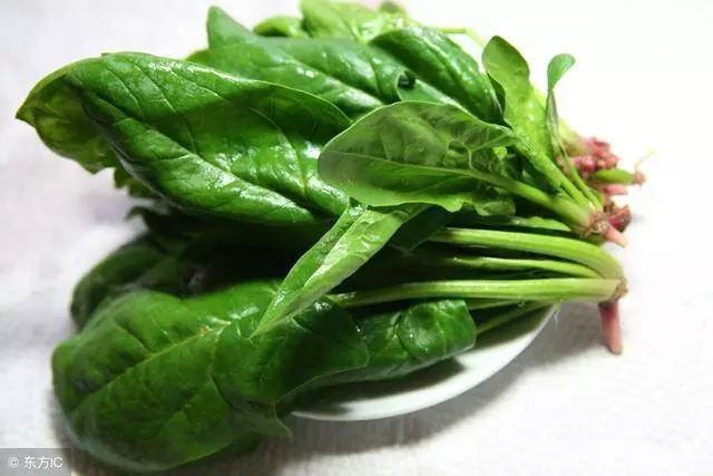 視力不清楚,要常吃這幾種食物