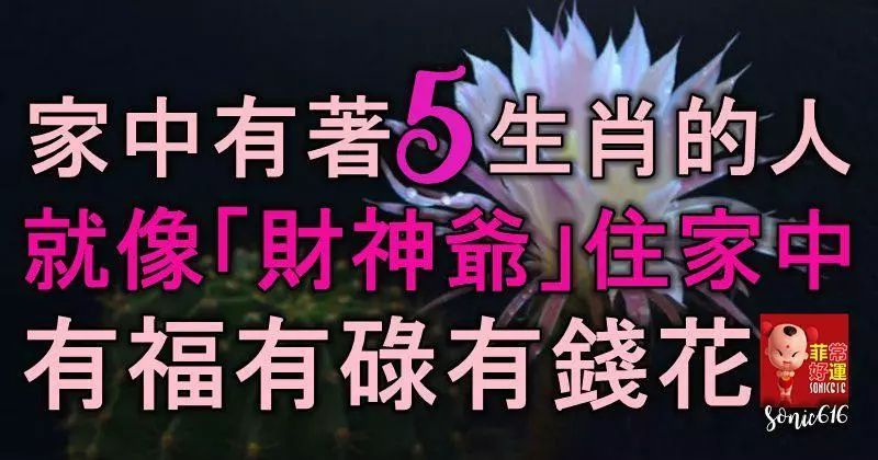 家中有著5生肖的人,就像「財神爺」住家中,有福有碌有錢花