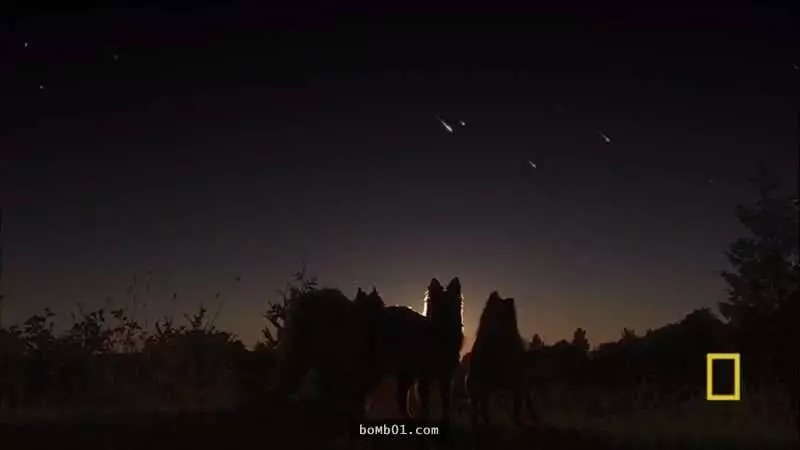如果人類全部消失「地球的面貌將會變成這樣子」【人類消失300年後:因為沒有人塗抹防鏽漆】