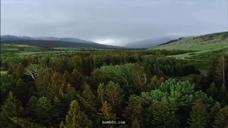 如果人類全部消失「地球的面貌將會變成這樣子」【人類消失300年後:因為沒有人塗抹防鏽漆】